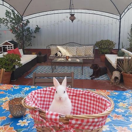 Small Room In Sants With Huge Terrace برشلونة المظهر الخارجي الصورة