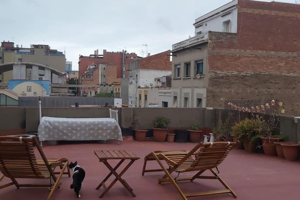 Small Room In Sants With Huge Terrace برشلونة المظهر الخارجي الصورة