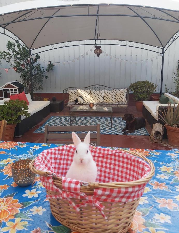 Small Room In Sants With Huge Terrace برشلونة المظهر الخارجي الصورة