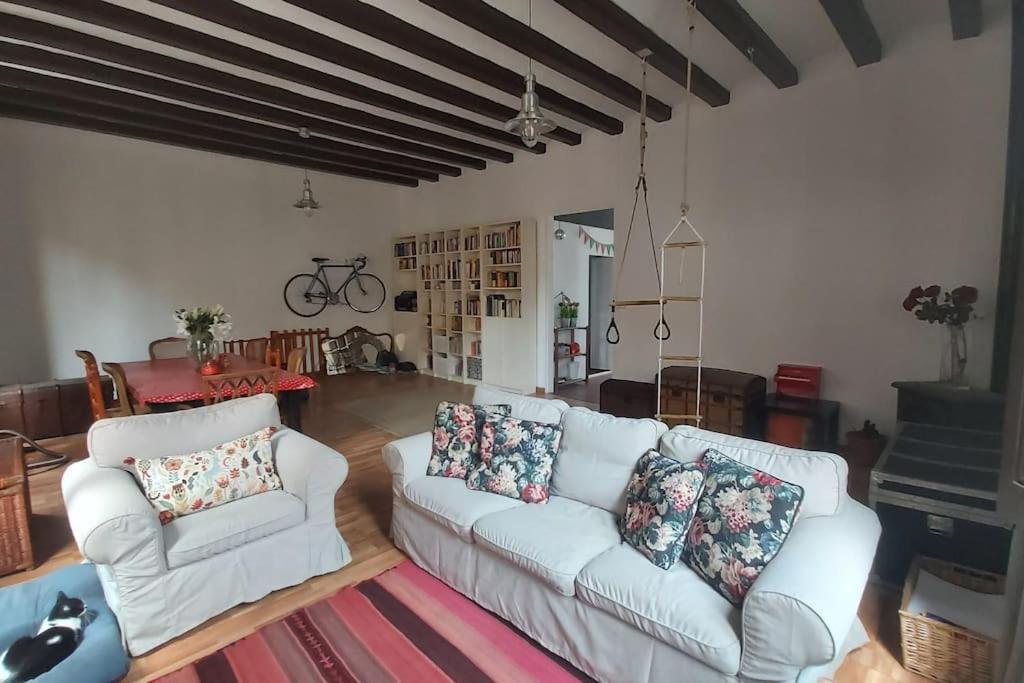 Small Room In Sants With Huge Terrace برشلونة المظهر الخارجي الصورة
